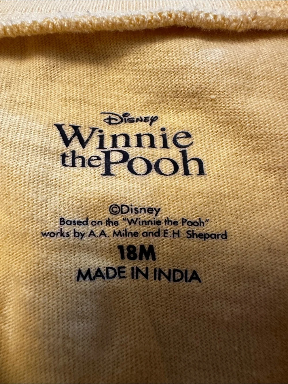 🍯 Disney Winnie the Pooh & Piglet 2-Piece Outfit 18M 🌼✨
